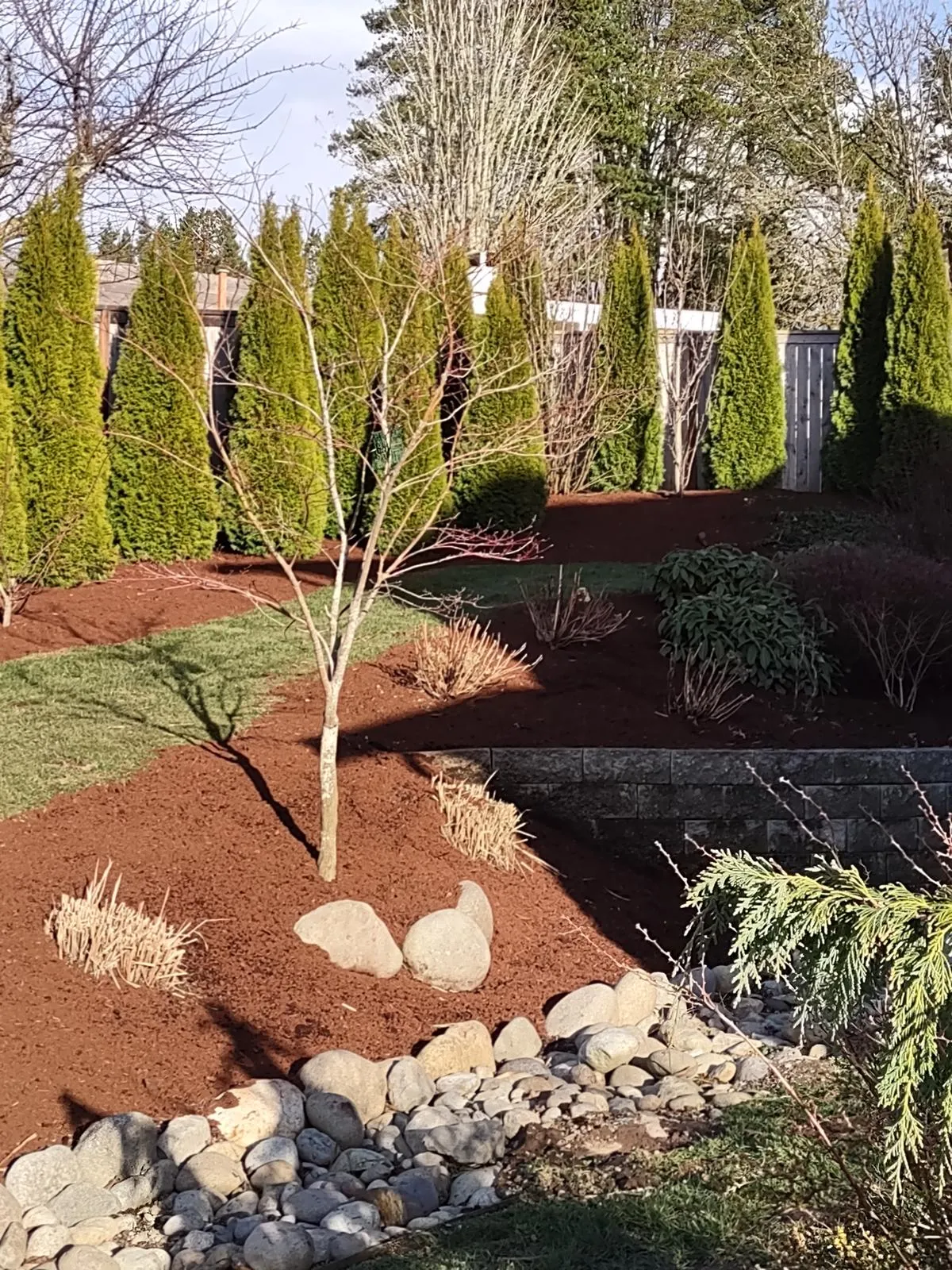 Tree Trimming